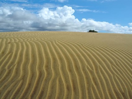 Sand dunes with wave-like textures under a cloudy sky, Maspalomas dunes, Gran Canaria, Canary