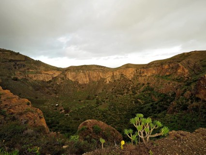 Wide gorge landscape with green vegetation under a cloudy sky, Caldera de Bandama volcanic crater,
