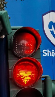 Traffic light shows red light with Tiran flag eagle against blue background in an urban