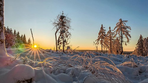 Sunset over snowy winter landscape with trees, Rennsteig, Thuringian Forest nature park Park