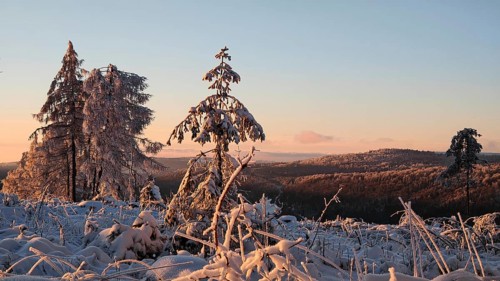 Winter landscape with hills and trees in the evening light, Rennsteig, Thuringian Forest nature