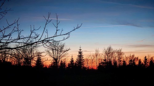 Sunset over a tree line, spruces (picea) with a bright blue and orange sky, Franconian Forest