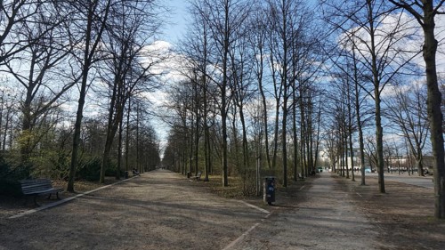 Tiergarten in Berlin surrounded by bare trees under a blue sky deserted without people during