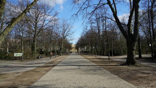 Long paved walking path between bare trees under a blue sky, deserted during corona, Berlin