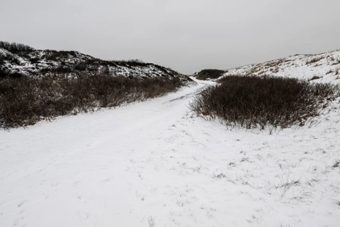 Dune landscape in snow, Langeoog, Lower Saxony, Germany