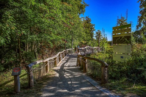 Schleiden, North Rhine-Westphalia, Germany — Eifel National Park. Barrier-free Wilder Kermeter