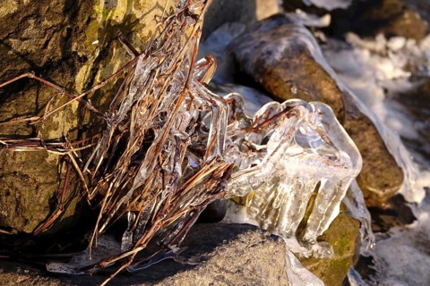 Ice on a lake shore, winter, Germany