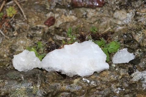 Mountain crystals on wet rock, Allgäu, Bavaria, Germany, Allgäu, Bavaria, Germany