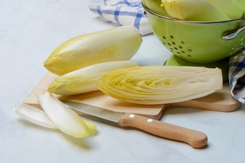Chicory, chicory salad on plate with knife