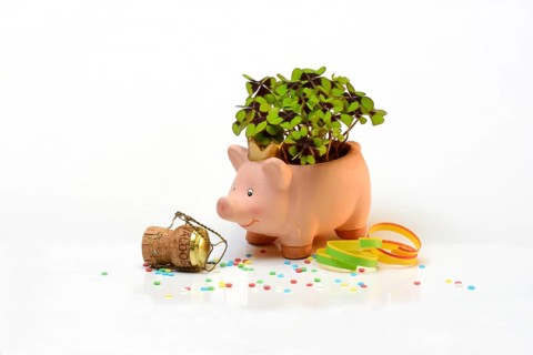 Lucky ceramic pig with shamrock plant and champagne cork, New Year