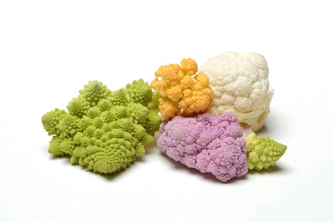 Colored cauliflower, Brassica oleracea var. botrytis