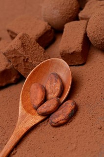 Cocoa beans in wooden spoons, cocoa powder and chocolate pralines