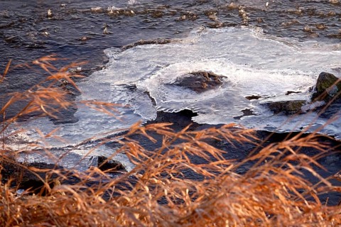 Elbe with ice on the shore, winter, Dresden, Saxony, Germany