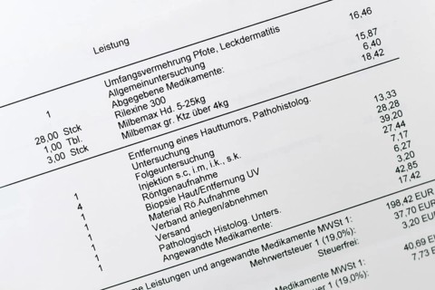 Germany - January 20th 2026: Close up of German veterinary bill with detailed medicine and