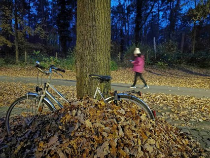 A bicycle is leaning against a tree next to a pile of leaves in the park at dusk, a woman walks