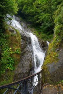 Rustling waterfall flows over rocks in the middle of a green forest, St. Andrew Waterfall, near the