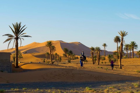 Sand dunes, sunrise, near Merzouga, Meknès-Tafilalet region, Erg Chebbi, northern Sahara, Morocco
