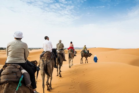 Tourists on dromedaries in the desert, near Merzouga, Meknès-Tafilalet region, Erg Chebbi, northern