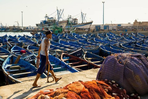 Fishing boats, fishing port, Essaouira, UNESCO World Heritage Site, Atlantic coast, Morocco