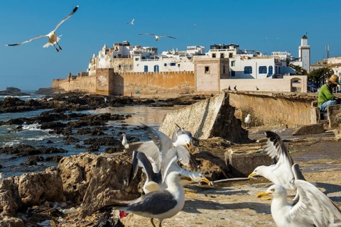Fishermen and seagulls on the promenade, Essaouira, UNESCO World Heritage Site, Atlantic coast,