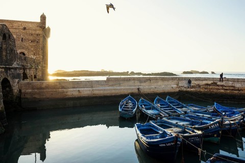 Fishing boats, fishing port, sunset, Essaouira, UNESCO World Heritage Site, Atlantic coast, Morocco
