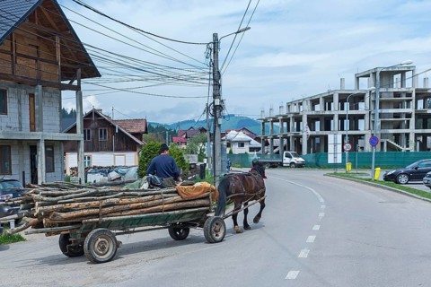 Horse-drawn carriage with logs on the road, Vorone?, Buckowina, Romania