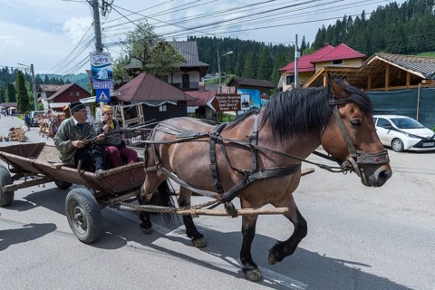 Horse cart on the road, Vorone?, Romania