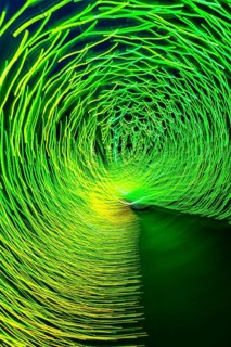 Light, tunnel, in motion, light tunnel, changes light color, light installation at park lights in