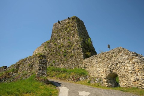 Griffen Castle Ruins, Schlossberg, Griffen, Carinthia