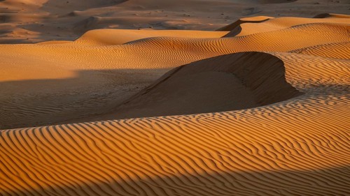 Sand dunes in the Rhub al Khali desert, detailed view, empty quarter, largest sandy desert in the