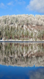 Snowy forest reflecting in a quiet lake on a clear winter day, Rennsteig, Thuringian Forest