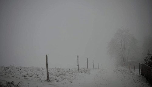 Foggy, snowy landscape with fences and dark sky, Rennsteig, Thuringian Forest
