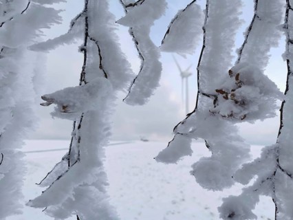 Snow-covered branches in a frosty winter landscape create a quiet and cold atmosphere, wind