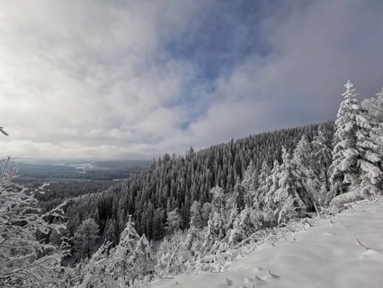 Snowy landscape with wooded mountain and clouds in the sky, idyllic winter atmosphere, Rennsteig,