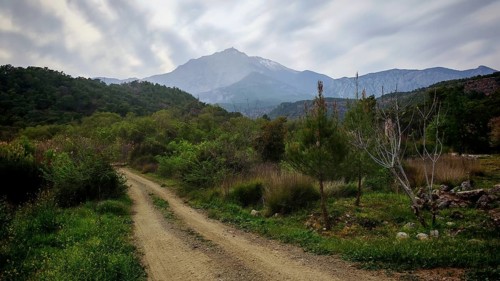 A dirt road leads through lush vegetation to a distant mountain of Tahtali, Lycia, Turkey