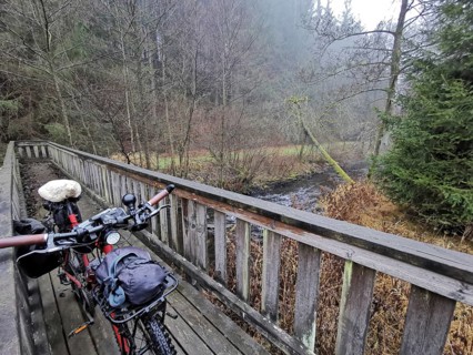 Bicycle on a wooden bridge in an autumn forest, along a stream