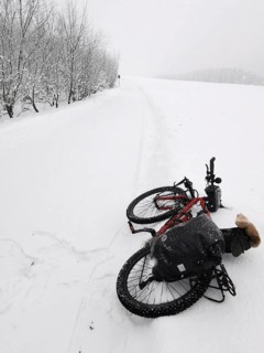 Bicycle is lying in the snow on a snowy dirt road under bare trees
