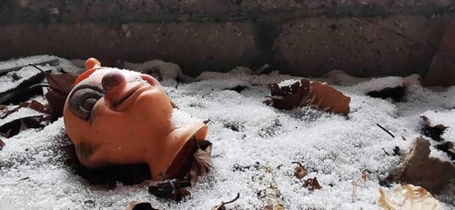 Worn doll's head lies in the snow between autumn leaves