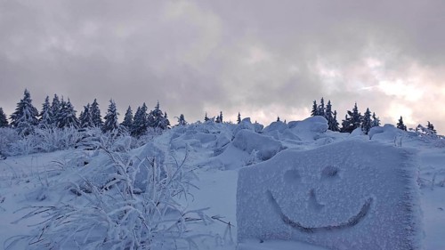 Snowy forest with a smiley face drawn in snow under a cloudy sky, Fichtelgebirge, Bavaria