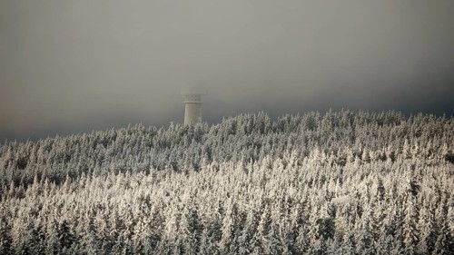 Snowy forest with a tower submerged in fog under a twilight sky, view from Nusshardt towards