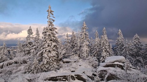 Snowy landscape with trees under a sky divided between blue and clouds, Fichtelgebirge, Bavaria