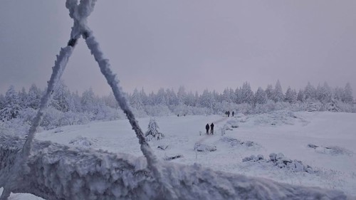 Snowy landscape with hikers and forest in the background. Twilight, quiet atmosphere, Schneeberg,