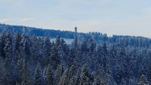 Snowy forest with a tower on a hill under a clear sky, Rennsteig, Thuringian Forest
