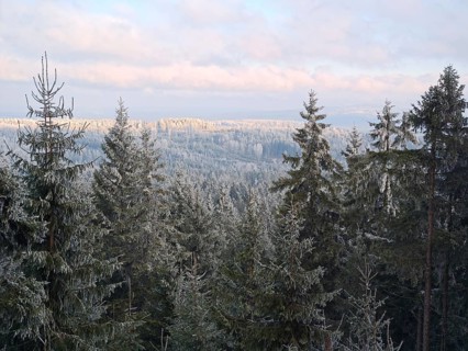 Snowy tree tops with a wide view over the forest, Fichtelgebirge, Bavaria