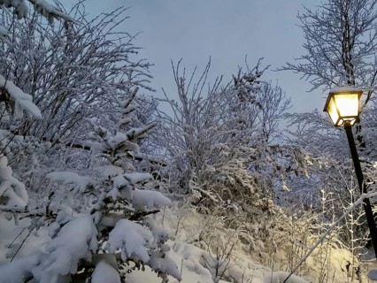 Snow-covered trees at dusk with an illuminated lantern, Frankenwald nature park Park