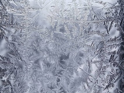 Ice flowers on a glass surface create a frosty and detailed pattern