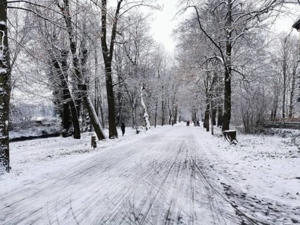 Snowy avenue with bare trees and a quiet, untouched winter trail, Berlin