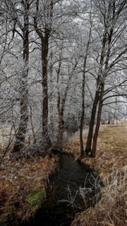 A small stream snakes through a wintery, snowy forest, mystical, romantic, Franconian Forest nature