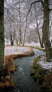 Small stream in light snowfall, surrounded by bare trees, mystical, romantic, Frankenwald nature