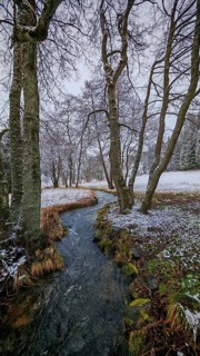 A stream snakes through a snow-covered forest landscape with bare trees, mystical, romantic,
